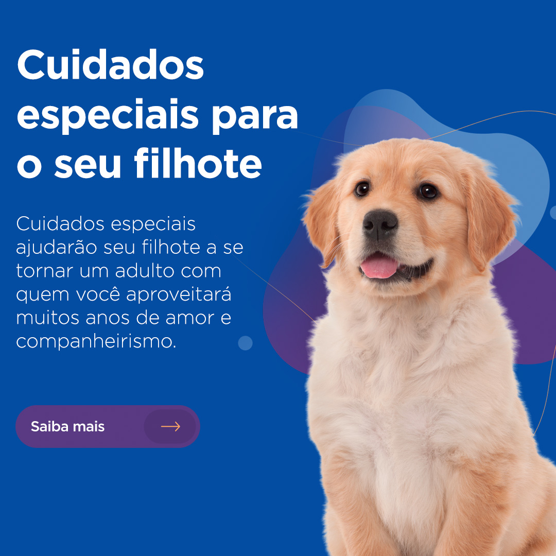 Tutores 04 - Cuidados