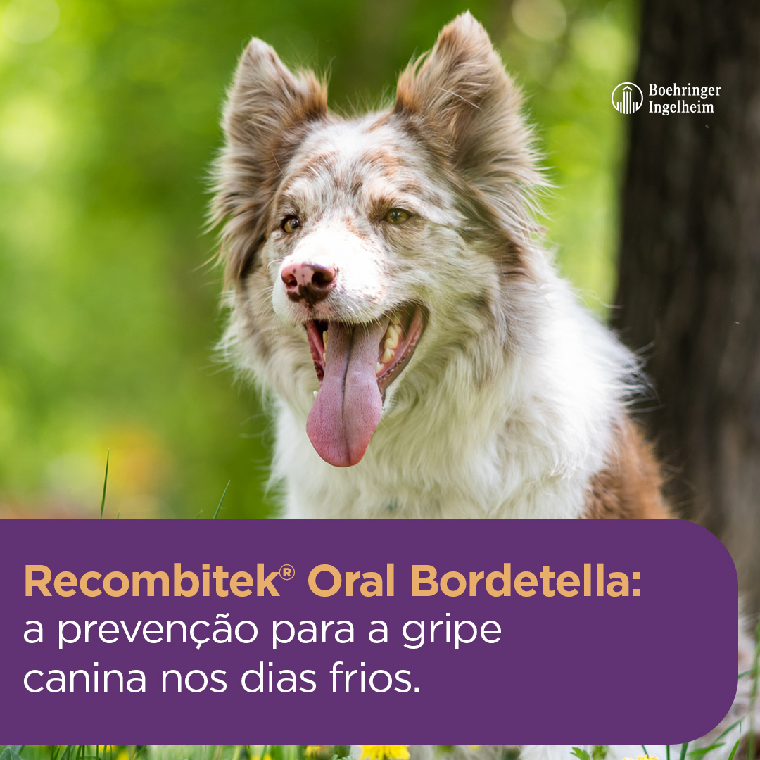Tutores 01 - Oral Bordetela