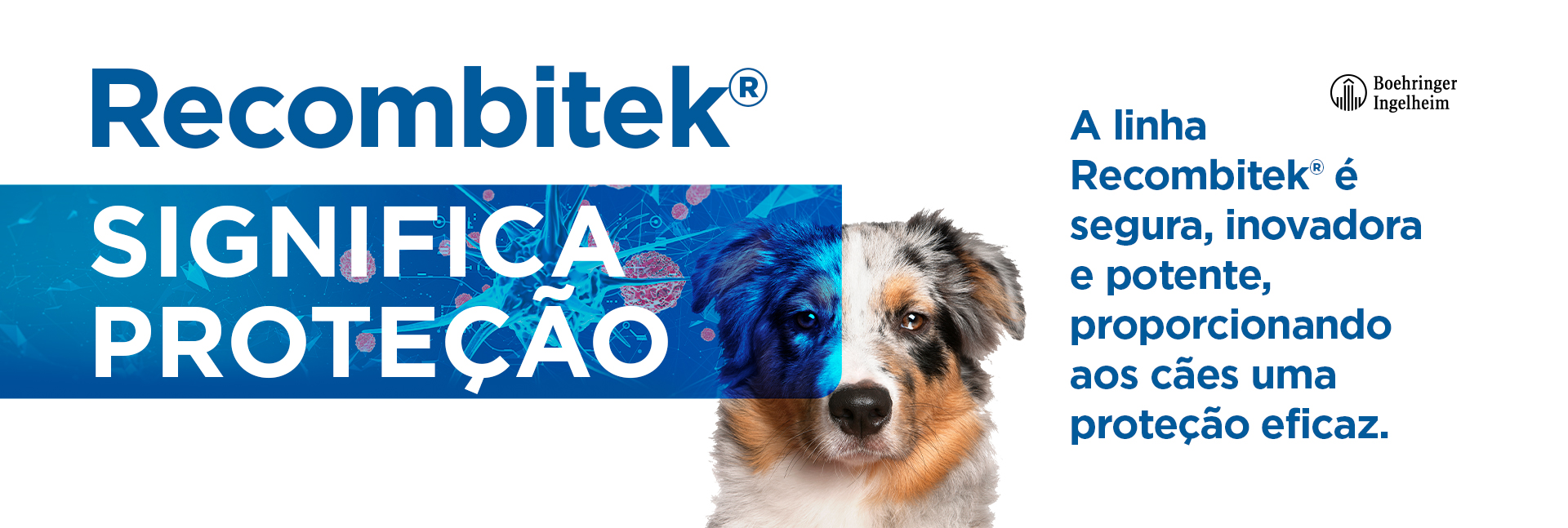 Veterinários 01 - Linha Recombitek