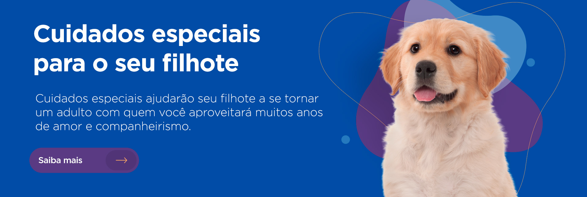 Tutores 04 - Cuidados