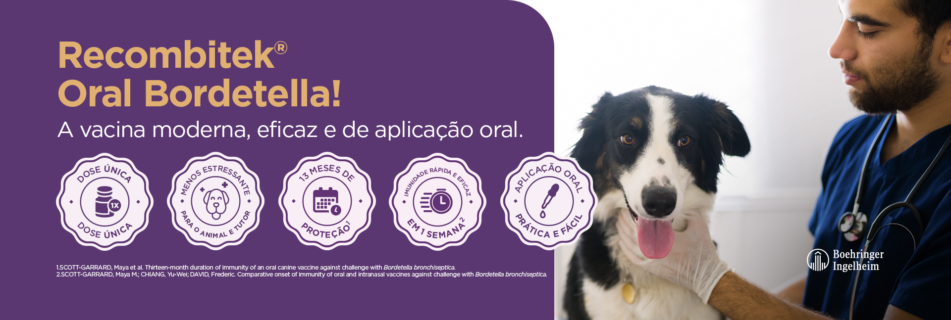 Veterinarios 02 - Oral Bordetella